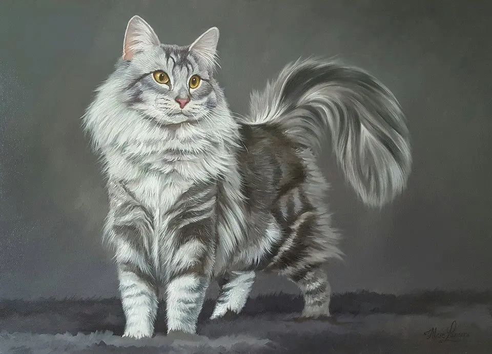 Marc Lamers Schilderijen Anton een Noorse boskat 50x70 cm