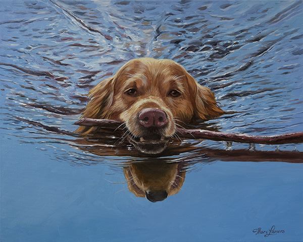 Marc Lamers Schilderijen Golden Retriever 40x60