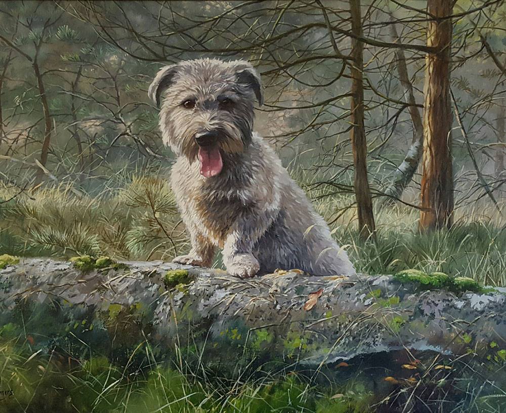 Marc Lamers Schilderijen Imaal Terrier Davey