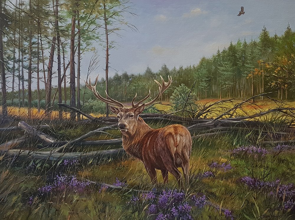 Marc Lamers Schilderijen Just watching herten 60x80