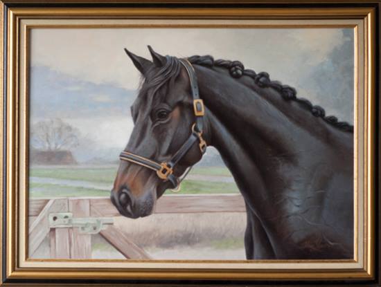 Marc Lamers Schilderijen KWPN Paard