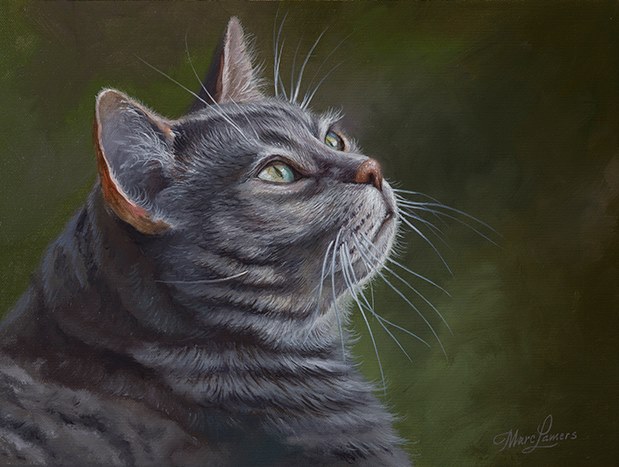 Marc Lamers Schilderijen Kat 2 30x40