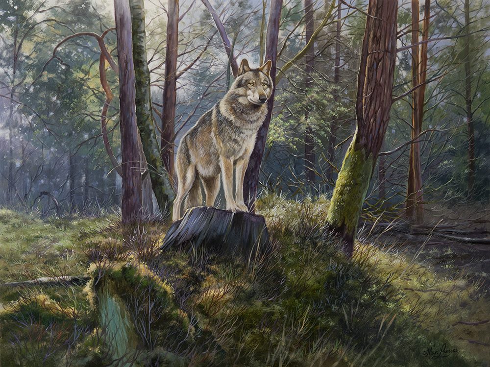 Marc Lamers Schilderijen Lone Wolf 60x80