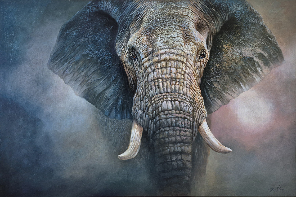 Marc Lamers Schilderijen Olifant 80x120