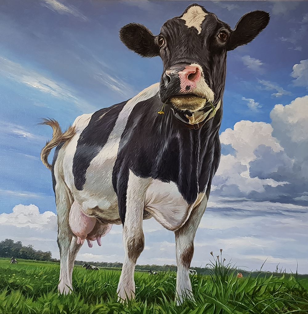 Marc Lamers Schilderijen Vrolijke koe 80x80
