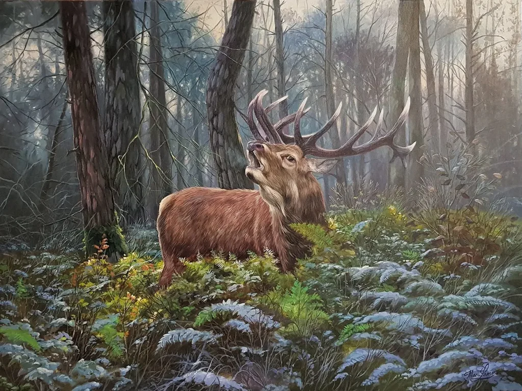 Schilderij Marc Lamers Hert tussen de varens met de eerste ochtend vorst 60x80 cm