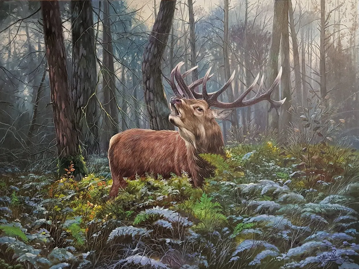 Schilderij Marc Lamers Hert tussen de varens met de eerste ochtend vorst 60x80 cm